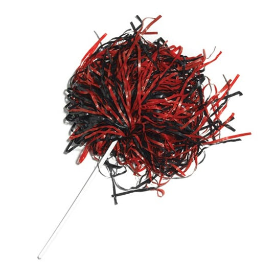 LN GIRLS SWIM & DIVE POM POM