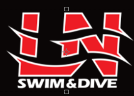 LN BOYS SWIM & DIVE CAR DECAL