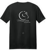 EMPYREAN STABLES YOUTH & ADULT LOGO SOFTSTYLE T-SHIRT