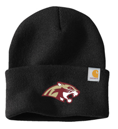 LS SWIM & DIVE CARHARTT WATCH CAP